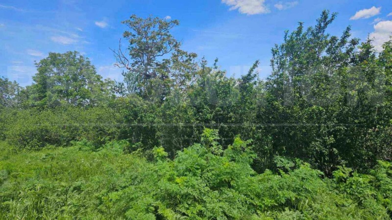Til salgs  Plott region Varna , Izvorsko , 1700 kvm | 60432080 - bilde [5]