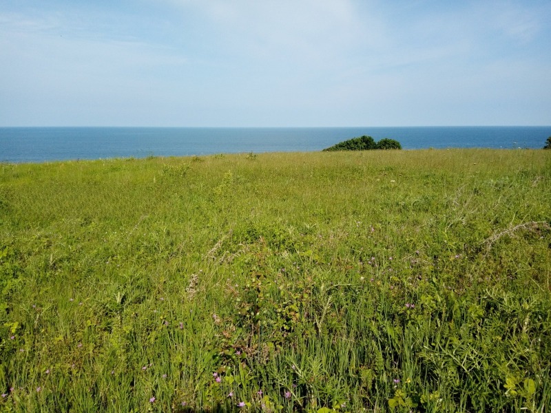 Til salg  Grund region Burgas , Ahtopol , 8600 kvm | 92284944