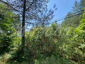 Продава  Вила област София , с. Луково , 45 кв.м | 41094797 - изображение [5]