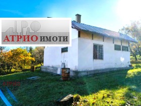 ����� ������� ����,���� �����, �. ���� ������