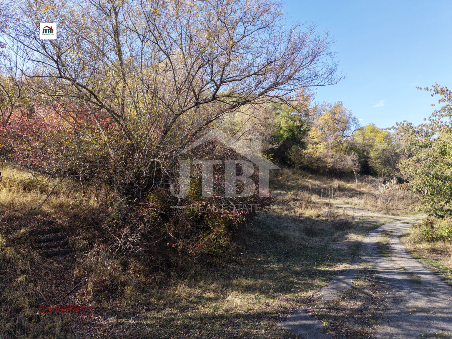 Продава ПАРЦЕЛ, с. Житуша, област Перник, снимка 4 - Парцели - 53411828