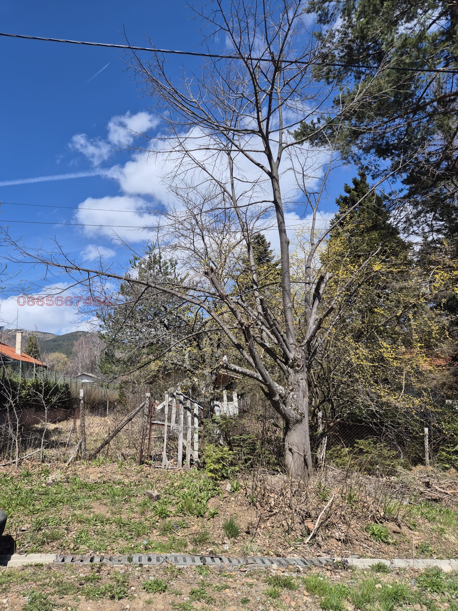 Продава ПАРЦЕЛ, в.з.Ярема, област София област, снимка 3 - Парцели - 54514762