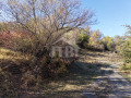Продава ПАРЦЕЛ, с. Житуша, област Перник, снимка 4
