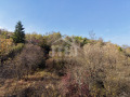 Продава ПАРЦЕЛ, с. Житуша, област Перник, снимка 3