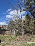 Продава ПАРЦЕЛ, в.з.Ярема, област София област, снимка 3