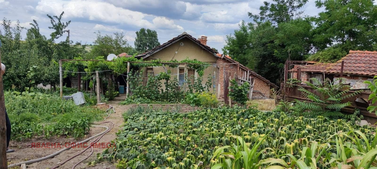 Продава КЪЩА, с. Каменец, област Ямбол, снимка 6 - Къщи - 55536197