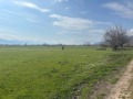 Продава ПАРЦЕЛ, с. Васил Левски, област Пловдив, снимка 2