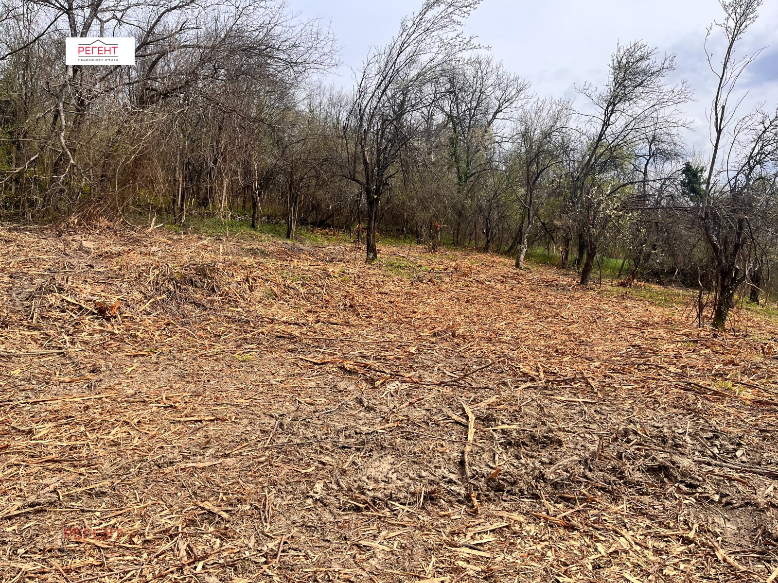 Продава ПАРЦЕЛ, с. Черневци, област Габрово