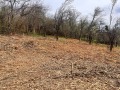 Продава ПАРЦЕЛ, с. Черневци, област Габрово, снимка 2