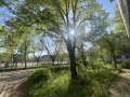 Продава 3-СТАЕН, град София, Славия • 275000 € • 23819344 — Holmes.bg