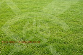 ����� ������� ������,�. ����������, ������ �������