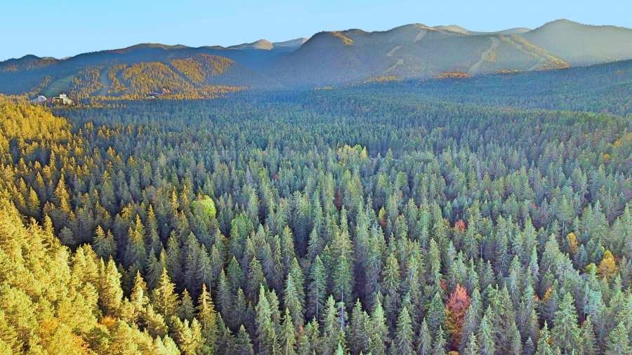 ������� ������ | Imot.bg � ����������� 15