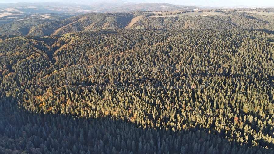 ������� ������ | Imot.bg � ����������� 10