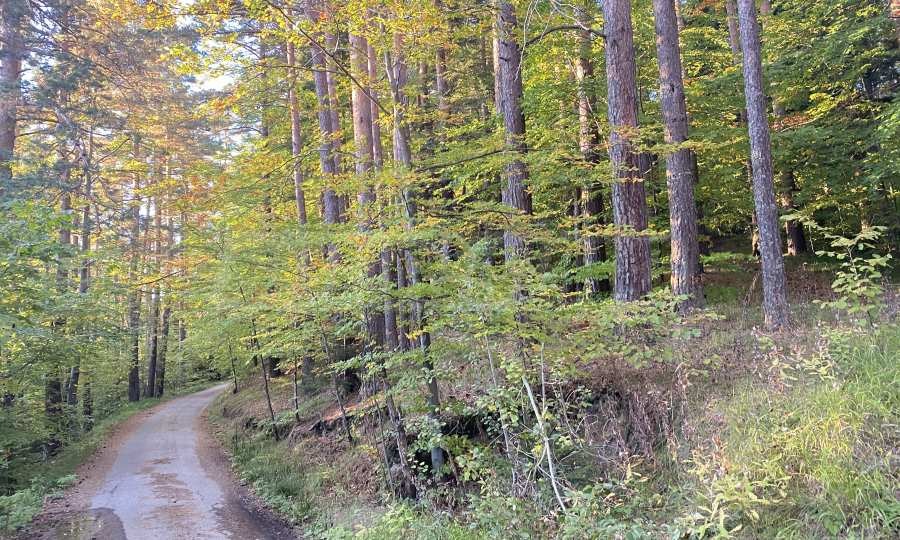 ������� ������ | Imot.bg � ����������� 4