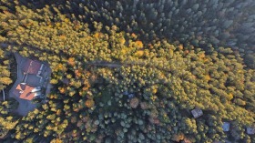 ������� ������ | Imot.bg � ����� ������ 13