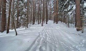 ������� ������ | Imot.bg � ����� ������ 17