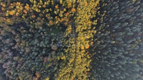 ������� ������ | Imot.bg � ����� ������ 12