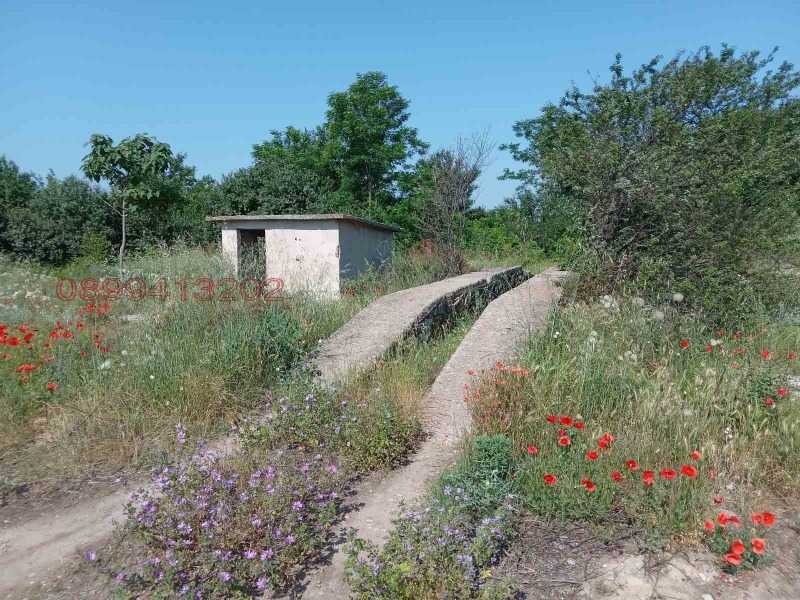 Zu verkaufen  Industriegebäude region Pasardschik , Saraja , 496 qm | 56428745 - Bild [2]