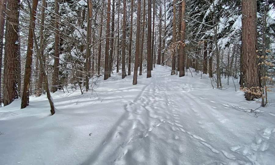 Продава ПАРЦЕЛ, к.к. Боровец, област София област, снимка 17 - Парцели - 54293592