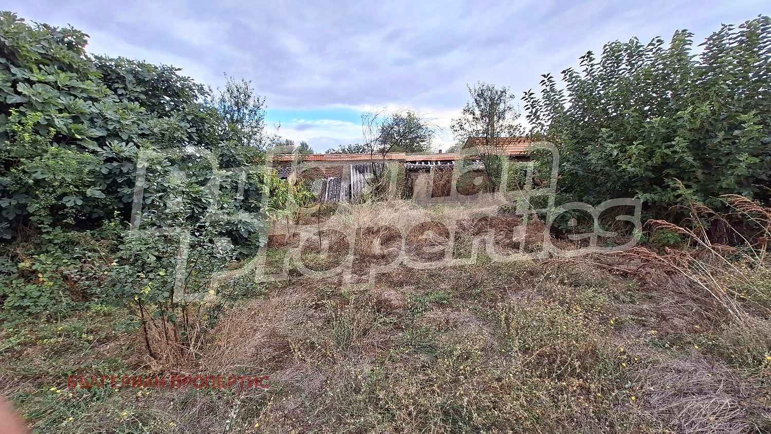 Продава ПАРЦЕЛ, с. Ръжево, област Пловдив, снимка 4 - Парцели - 56287824