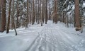 Продава ПАРЦЕЛ, област София, к.к. Боровец • по договаряне • 45775820 17
