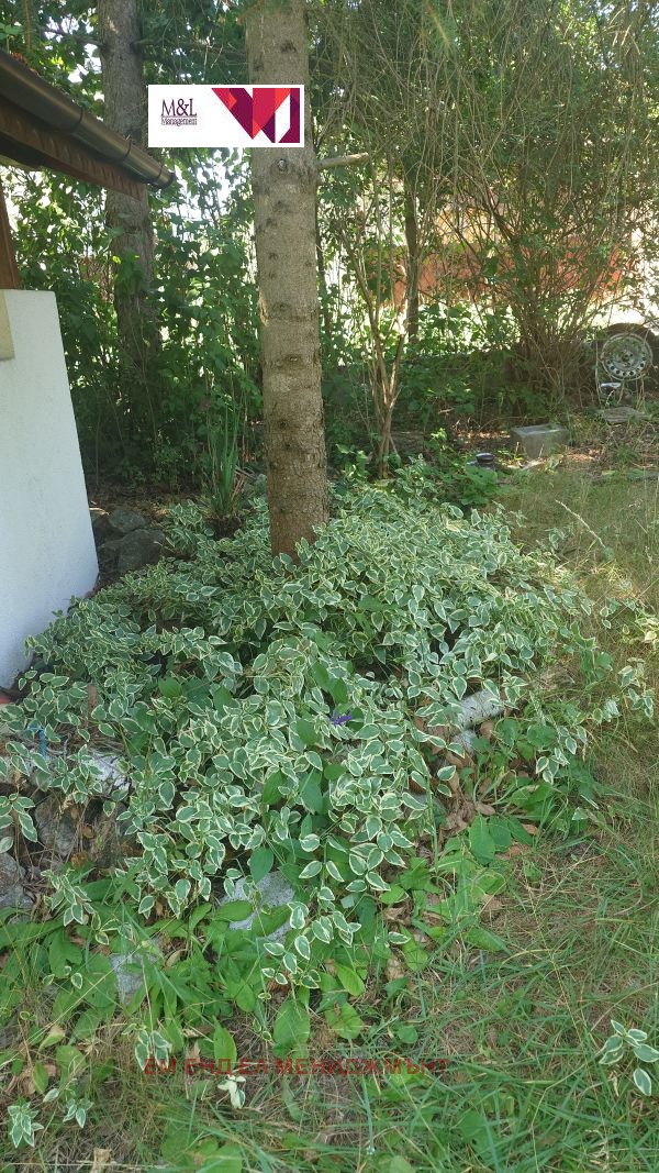 Продава КЪЩА, гр. Драгоман, област София област, снимка 5 - Къщи - 55316574