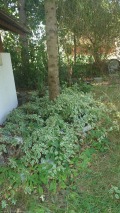Продава КЪЩА, гр. Драгоман, област София област, снимка 5