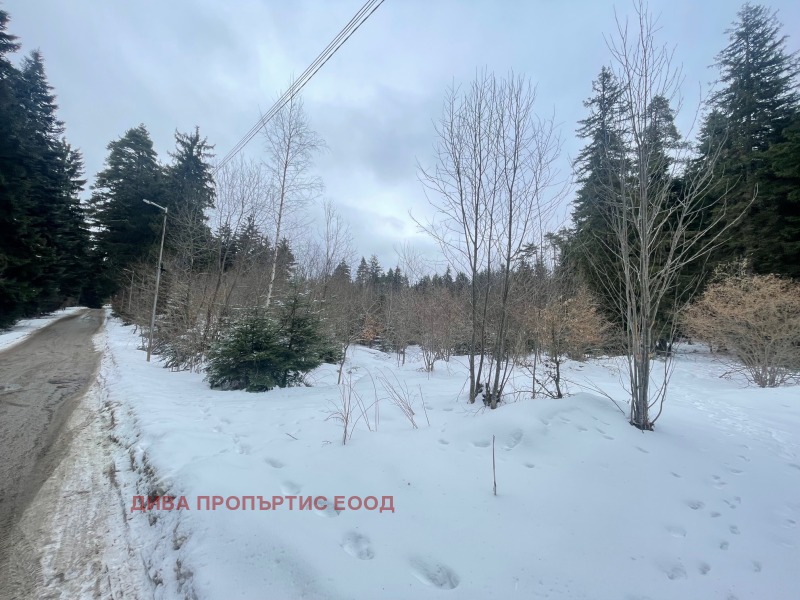 Продава ПАРЦЕЛ в област София, к.к. Боровец - 1994 кв.м / 438 680 € » 857 983.50 лв., ДИВА ПРОПЪРТИС ЕООД