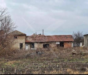 Hus Zhitnitsa, region Varna 5