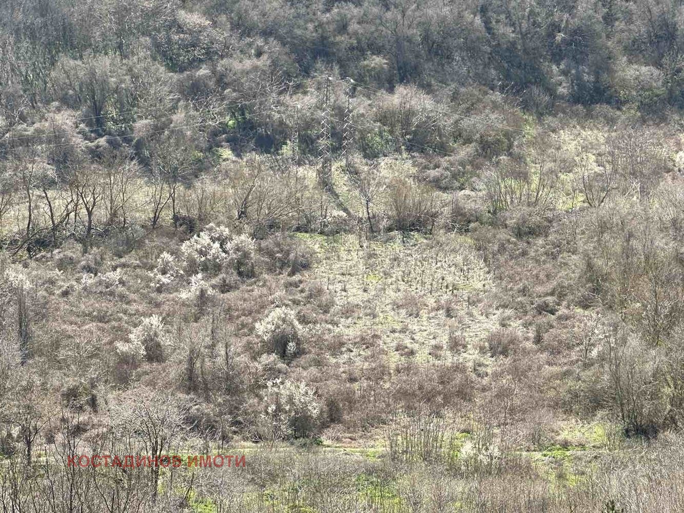 Продава ПАРЦЕЛ | Imot.bg — изображение 9