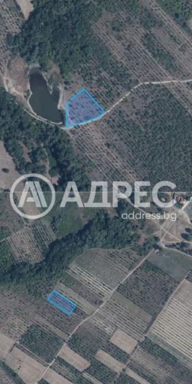 ����� ������� ���������� ����,�. ��������, ������ �������