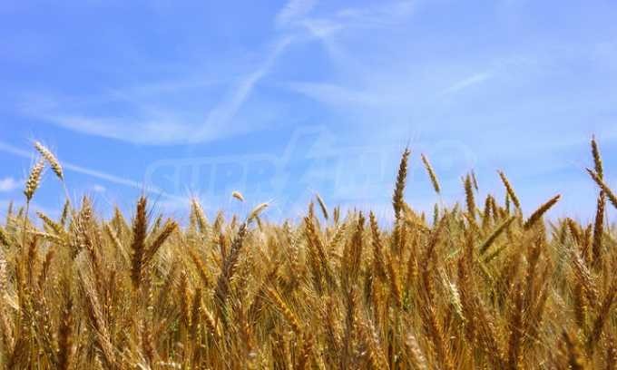 Продава ПАРЦЕЛ | Imot.bg — изображение 1