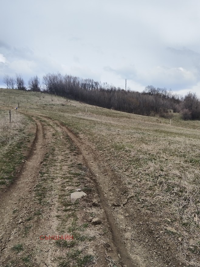 ������� ������ | Imot.bg � ����������� 6