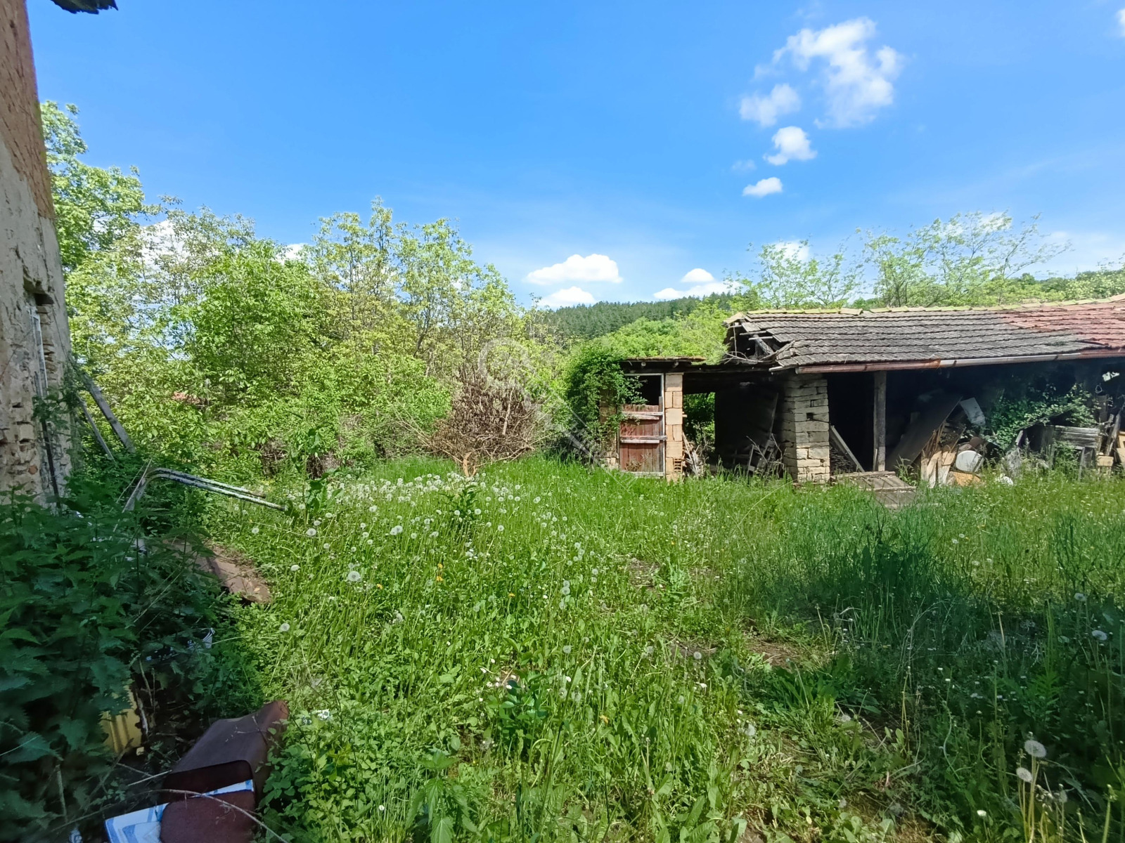 ������� ���� | Imot.bg � ����������� 11