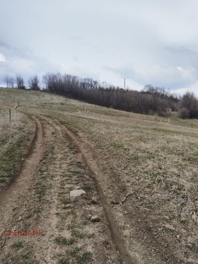 ������� ������ | Imot.bg � ����� ������ 6