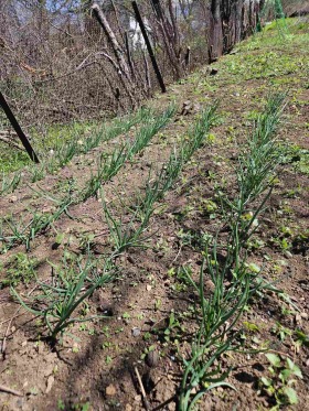 ������� ������ | Imot.bg � ����� ������ 6