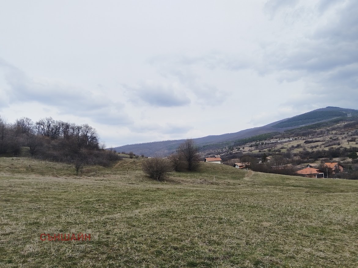 Продава ПАРЦЕЛ, с. Големо Бучино, област Перник, снимка 5 - Парцели - 54329464