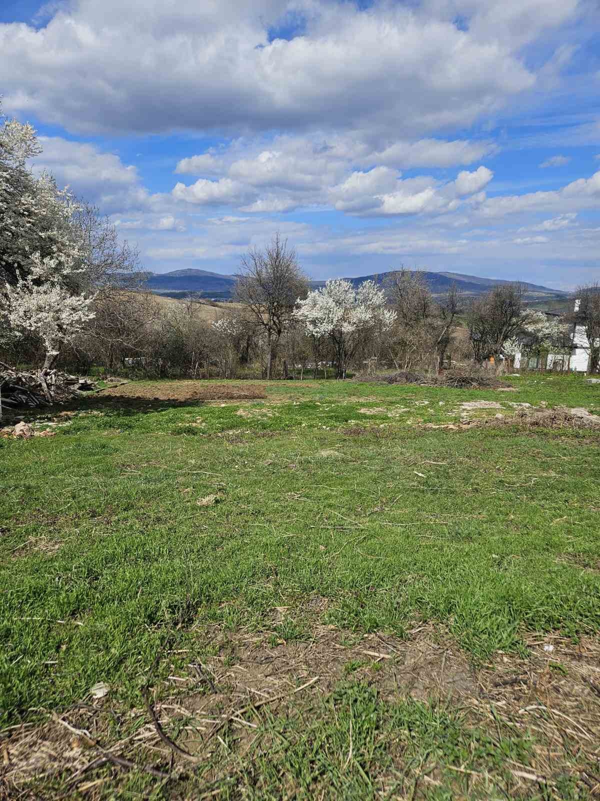 Продава ПАРЦЕЛ, с. Кралев дол, област Перник, снимка 2 - Парцели - 54347132