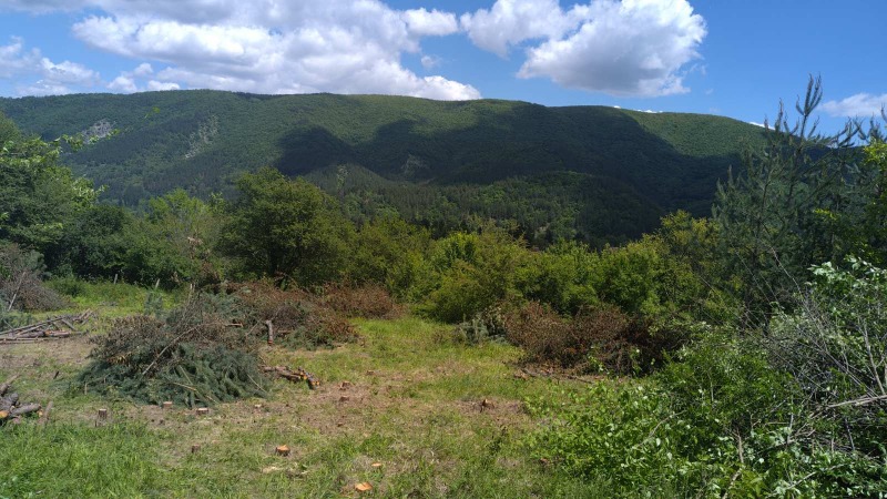 For Sale  Plot Sofia , Kokalyane , 1606 sq.m | 84360596 - image [2]