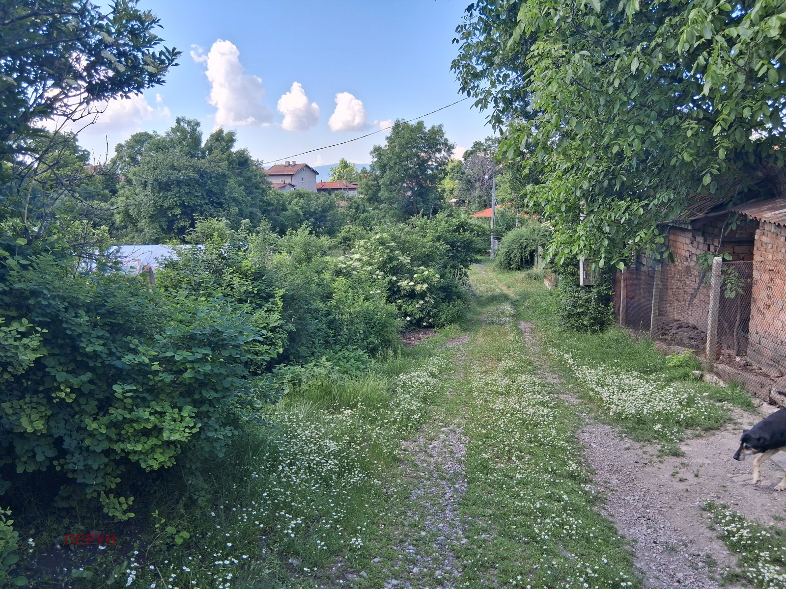 Продава ПАРЦЕЛ, с. Дивотино, област Перник, снимка 5 - Парцели - 54848833