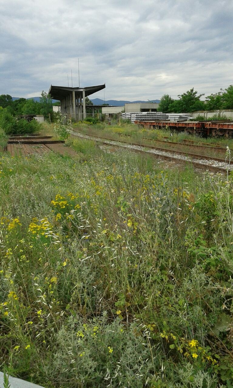 Продаја  Плот регион Хасковскo , Свиленград , 9600 м2 | 79842285 - слика [2]