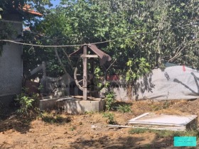 Hus Priselci, region Varna