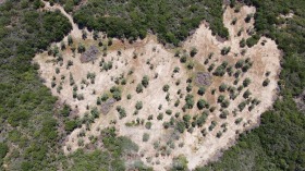 ������� ������ | Imot.bg � ����� ������ 5