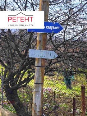 ������ ������� ������