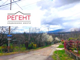 ����� ������� ������,���� �������, ������