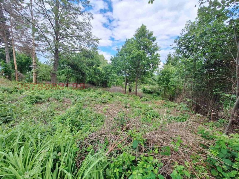 Na prodej  Spiknutí Sofia , Pančarevo , 1063 m2 | 59349817 - obraz [3]