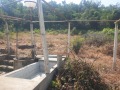 Продава КЪЩА, област Велико Търново, с. Вишовград • 50000 лв. • 39405664 — Holmes.bg