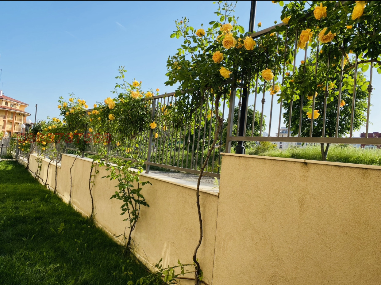 ������� 1-����� | Imot.bg � ����������� 8