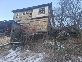 ����� ������� ����,�. ����������, ������ ������