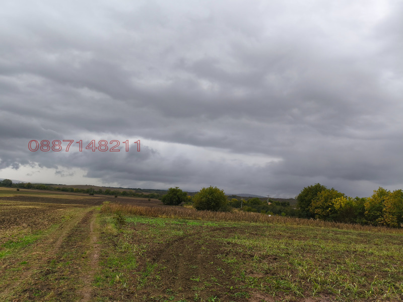 Продава ПАРЦЕЛ, с. Козаревец, област Велико Търново, снимка 4 - Парцели - 52784011